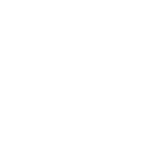 Startup NE
